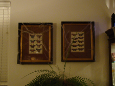 Halloween Decorations