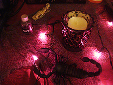 Halloween Decorations