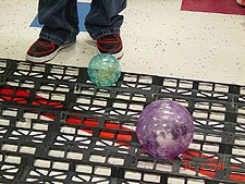 Hamster races