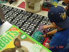 Hamster races