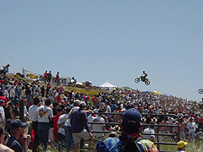 Riding high...