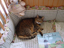 Allie thinks this crib is for her...