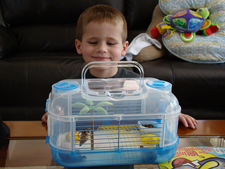 Hunter and his new hermit crabs.