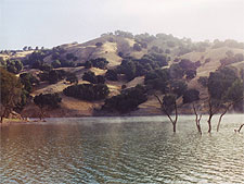 Lake in the early morning.