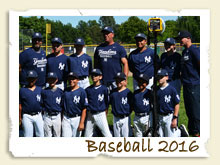 Baseball Page - 2016