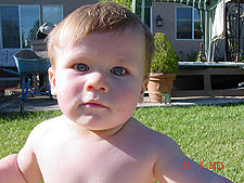 Hunter in the back yard.