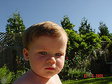 Hunter in the back yard.