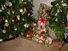 Presents under the tree.