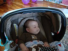 Ryder sleeping