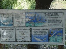Fishing sign.