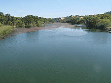 View of Putah Creek from the bridge.