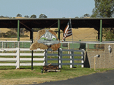 Murray's Emerald Hills Horse Ranch