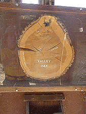 Valley Oak.