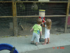 Hunter and Jordan want to feed the birds.