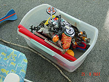 The lizzard thinks he can hide in Hunter's toys...