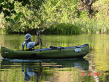 Dave tests the waters.