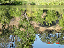 Very pretty mirrored reflection from our site.