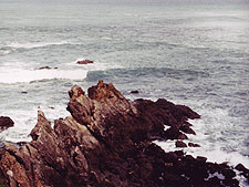 Mendocino coast