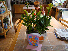 Mother's Day goodies.