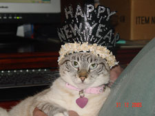 Lily is ready to party...