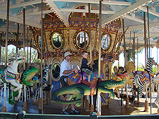 Hunter on the carousel