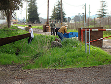 The guys playing.