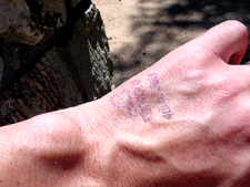 Hand stamp