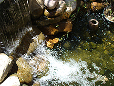 waterfall, July 2010