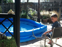 Ryder watching the pool get filled up.