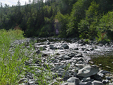 A beatiful view upstream.