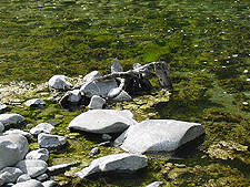 Rocks in the river...