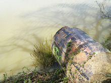 Riverfront Regional Park