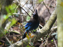 Riverfront Regional Park