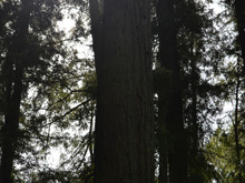 Riverfront Regional Park