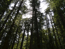 Riverfront Regional Park