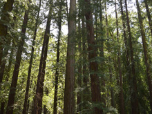 Riverfront Regional Park