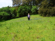 Riverfront Regional Park
