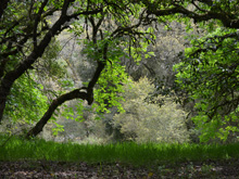 Riverfront Regional Park
