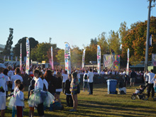 Beaitiful day for a race.