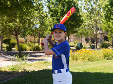 baseball pics