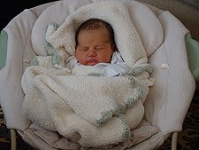 Ryder at home
