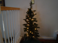 Ryder's little tree.