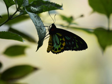 Six Flags Discovery Kingdom