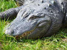 Six Flags Discovery Kingdom