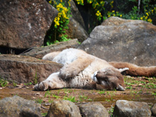 Six Flags Discovery Kingdom