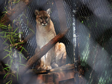 Six Flags Discovery Kingdom