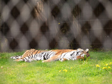 Six Flags Discovery Kingdom