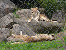 Six Flags Discovery Kingdom