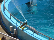 Six Flags Discovery Kingdom