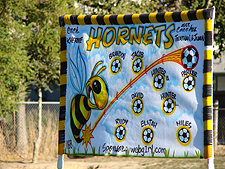 Hornets banner